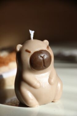 Mokkabarna capybara formájú szójaviasz gyertya sötétbarna orral, szemből fotózva.