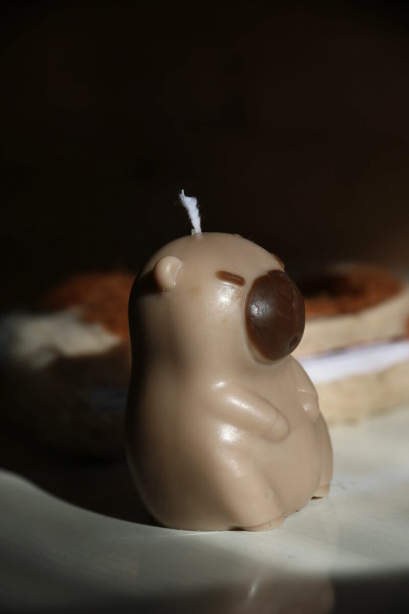 Capybara formagyertya oldalról, a jellegzetes lekerekített orral és kis füllel.