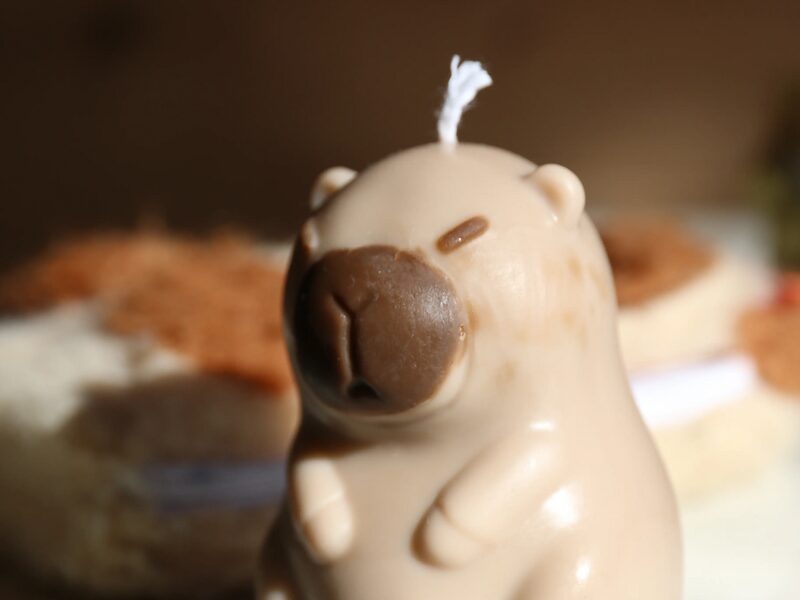Capybara gyertya