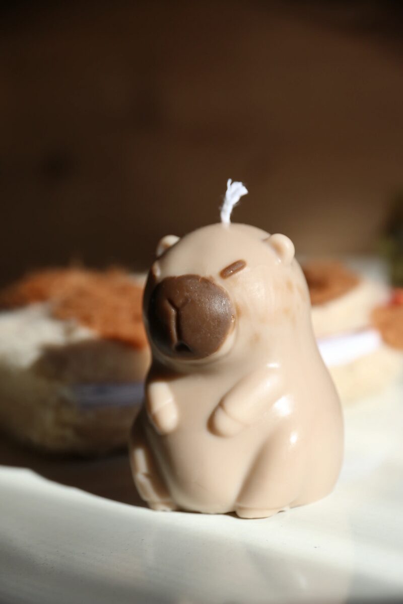 Mokka capybara gyertya közelről, a fényes viaszfelülettel és a barna pofával.