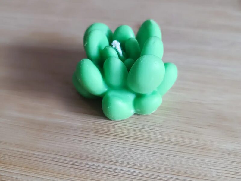 Kaktusz IV. – mini pozsgás trió