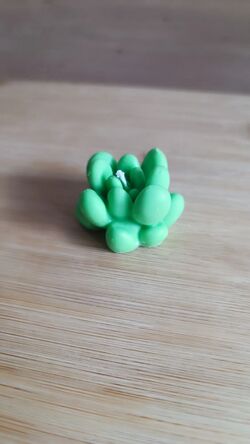 Zöld mini pozsgás alakú szójaviasz gyertya pamut kanóccal, felülnézetből.