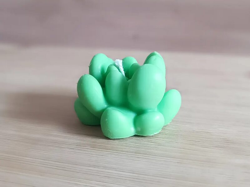 Kaktusz IV. – mini pozsgás trió
