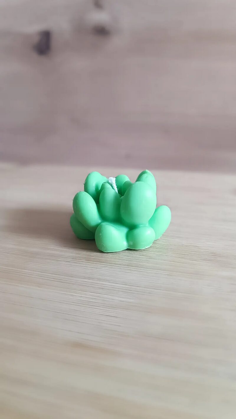 Zöld mini pozsgás alakú szójaviasz gyertya oldalnézetből, fa felületen.