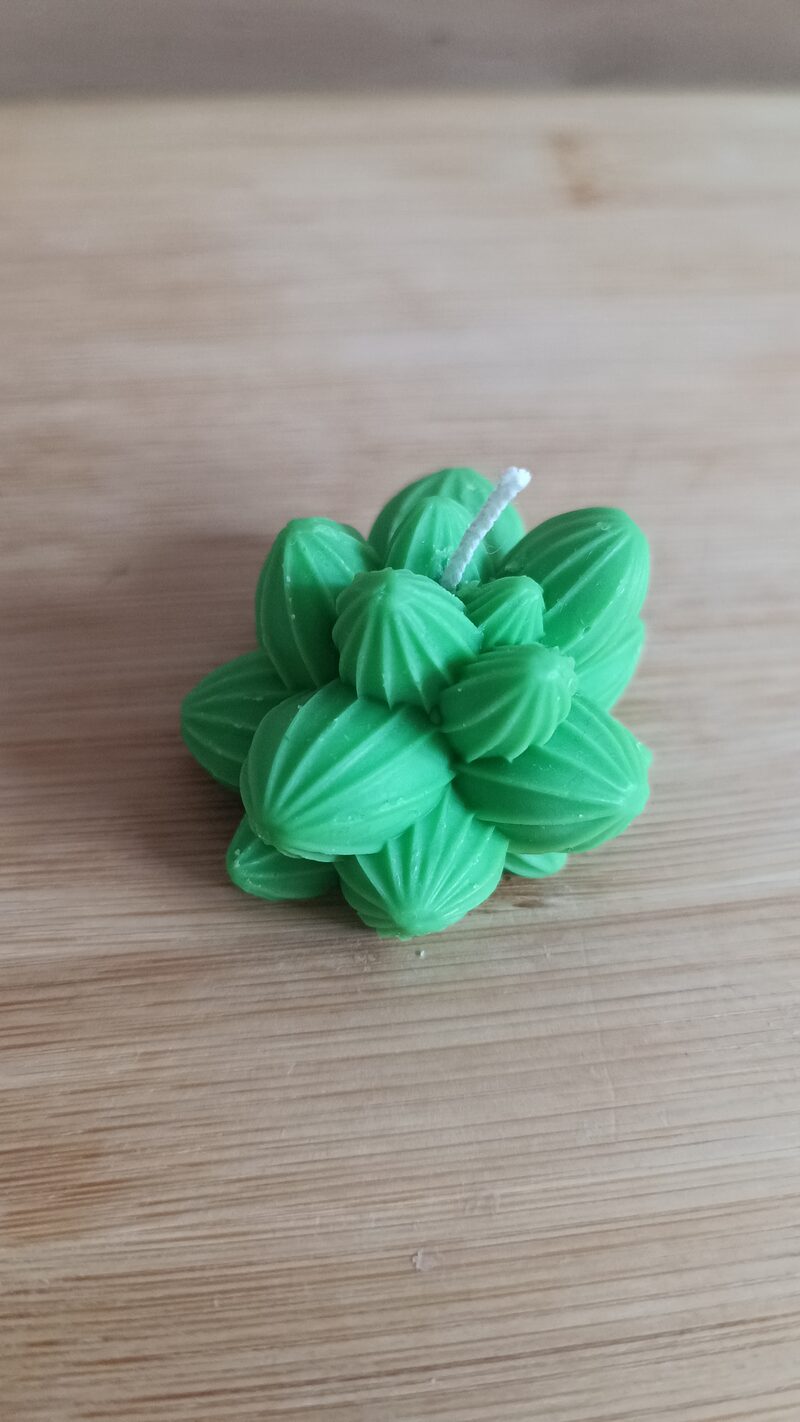 Zöld pozsgás formagyertya közelről, középen a felfelé álló pamut kanóccal.