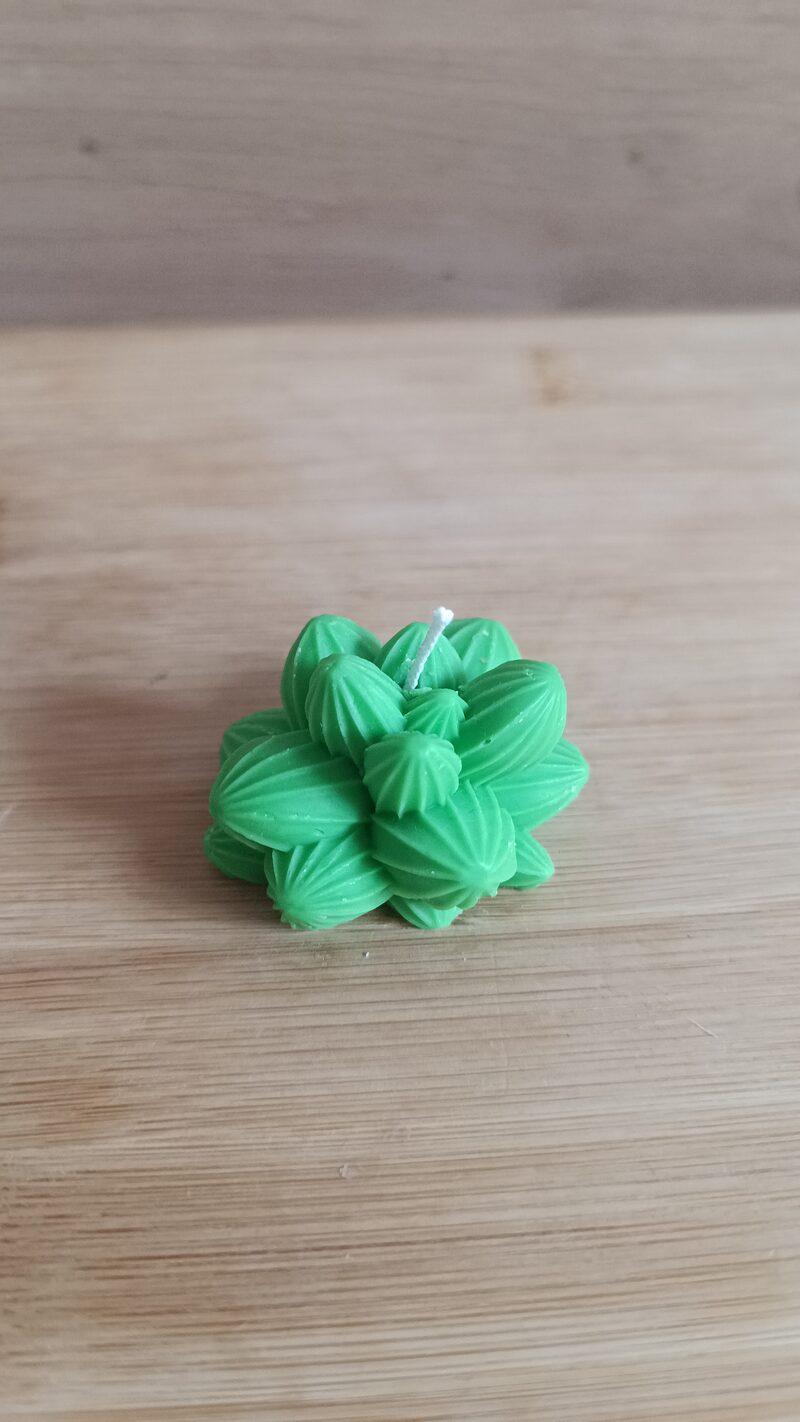 Rozettás pozsgás szójaviasz gyertya fa felületen, matt zöld felülettel.