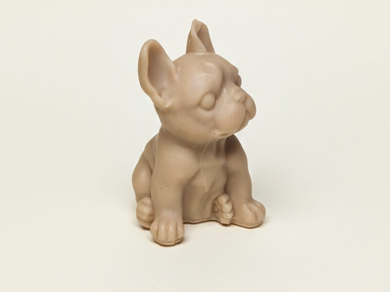 Francia bulldog