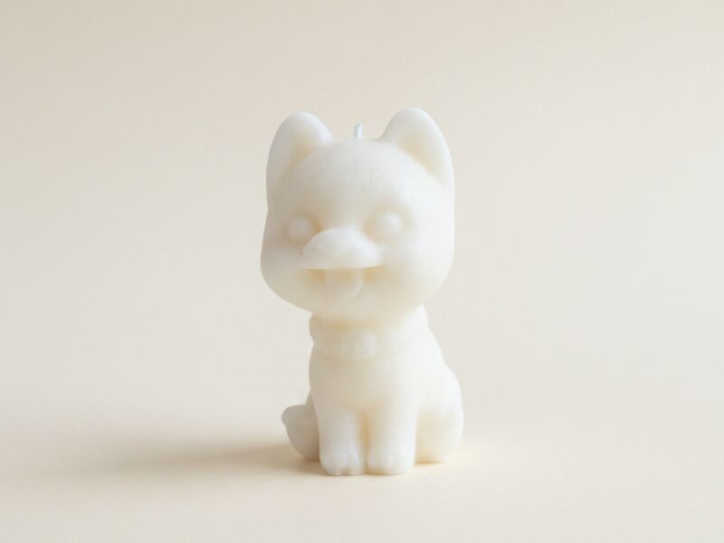 Shiba inu, natúr fehérben