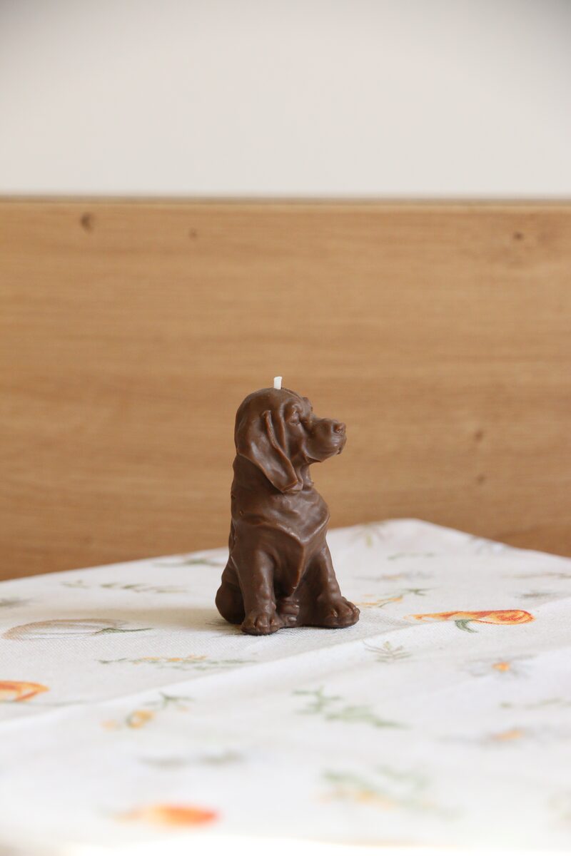 Csokoládé barna weimari vizsla gyertya profilból, virágmintás terítőn, fa háttér előtt.
