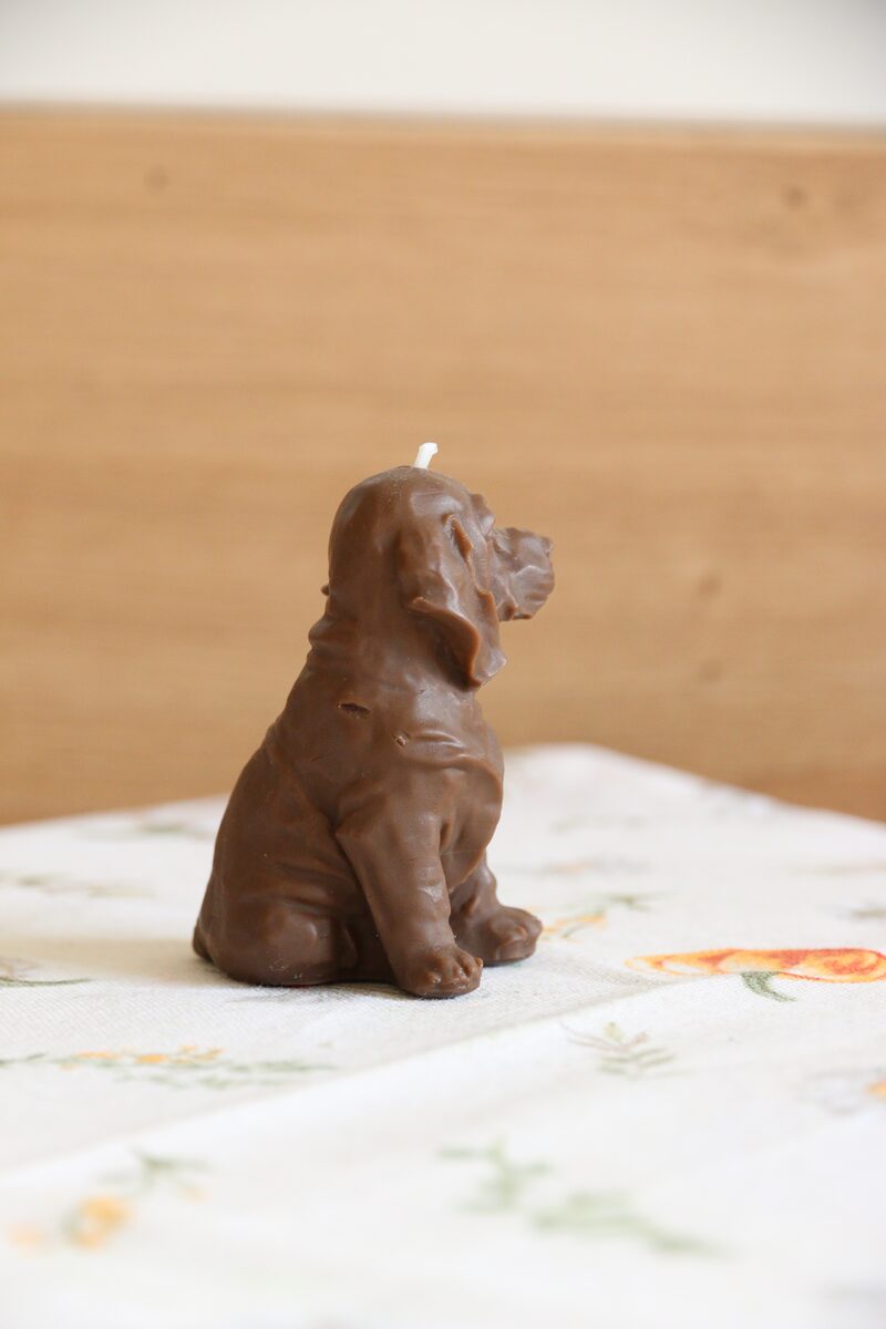 Csokoládé barna weimari vizsla gyertya szemből, csukott szemmel, virágmintás terítőn.