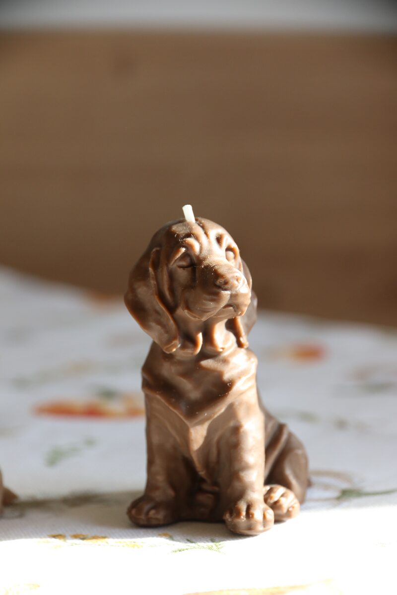 Csokoládé barna weimari vizsla gyertya közelről, lágy fényben, virágmintás terítőn.