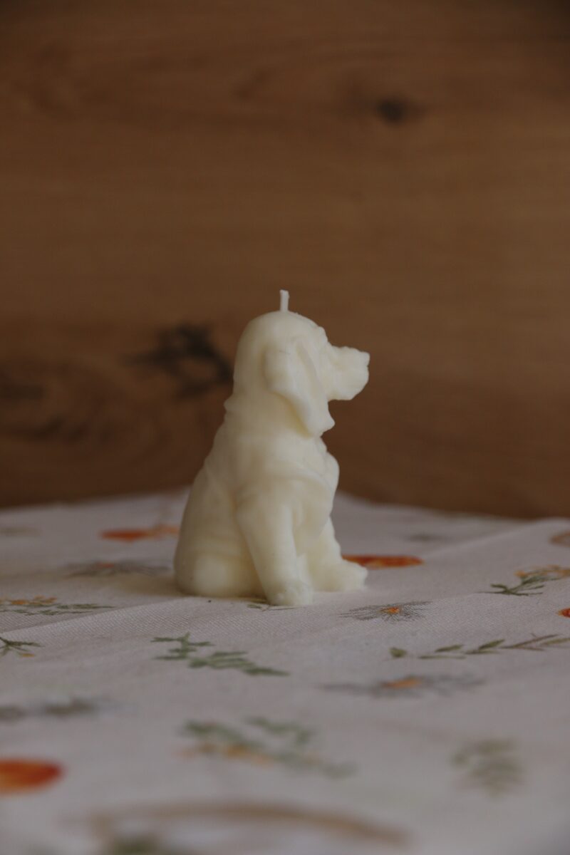 Fehér (natúr) weimari vizsla gyertya profilból, virágmintás terítőn.