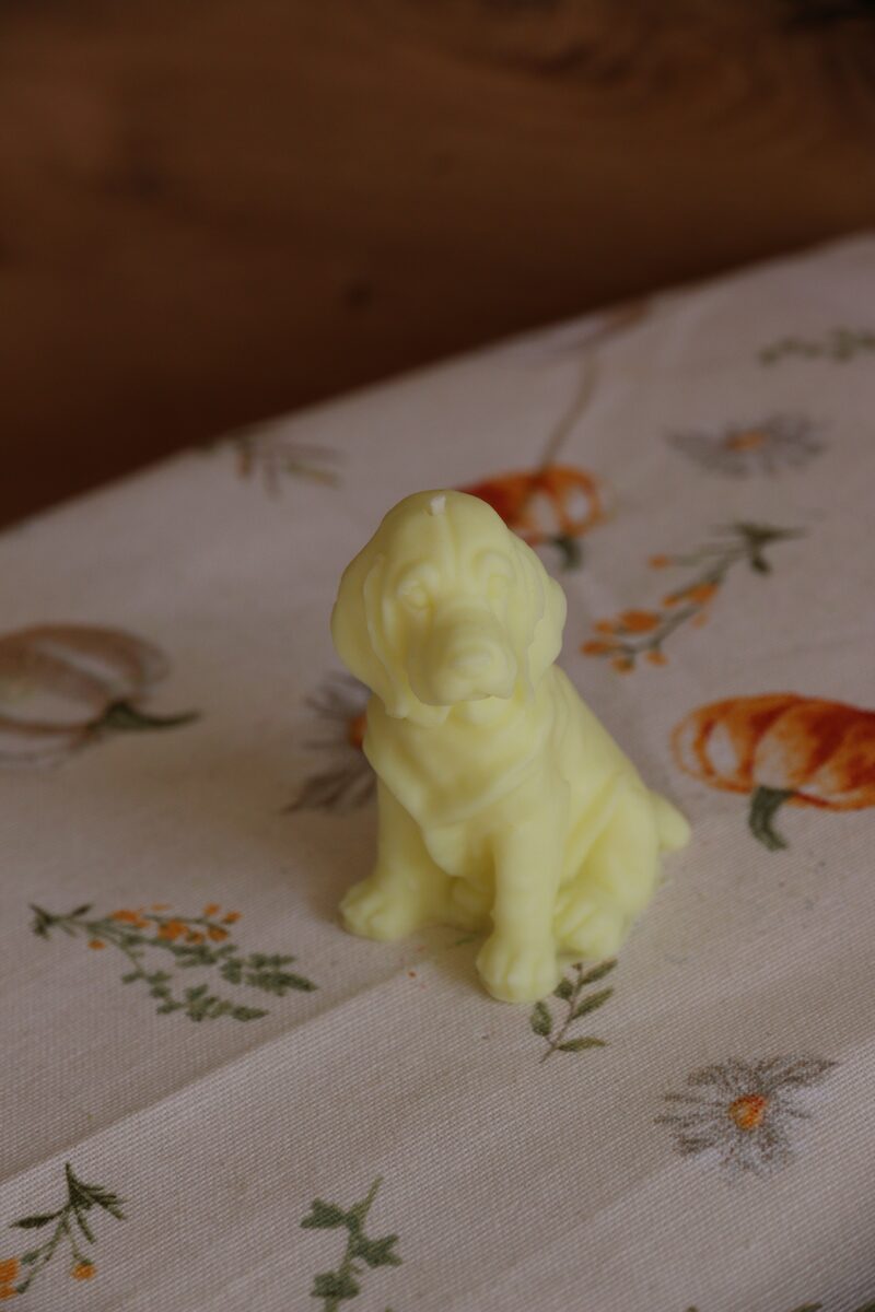 Halvány sárga weimari vizsla gyertya szemből, virágmintás terítőn.