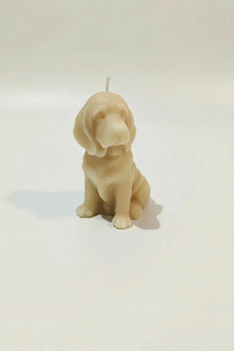 Weimari vizsla szójaviasz gyertya – kutyafajta