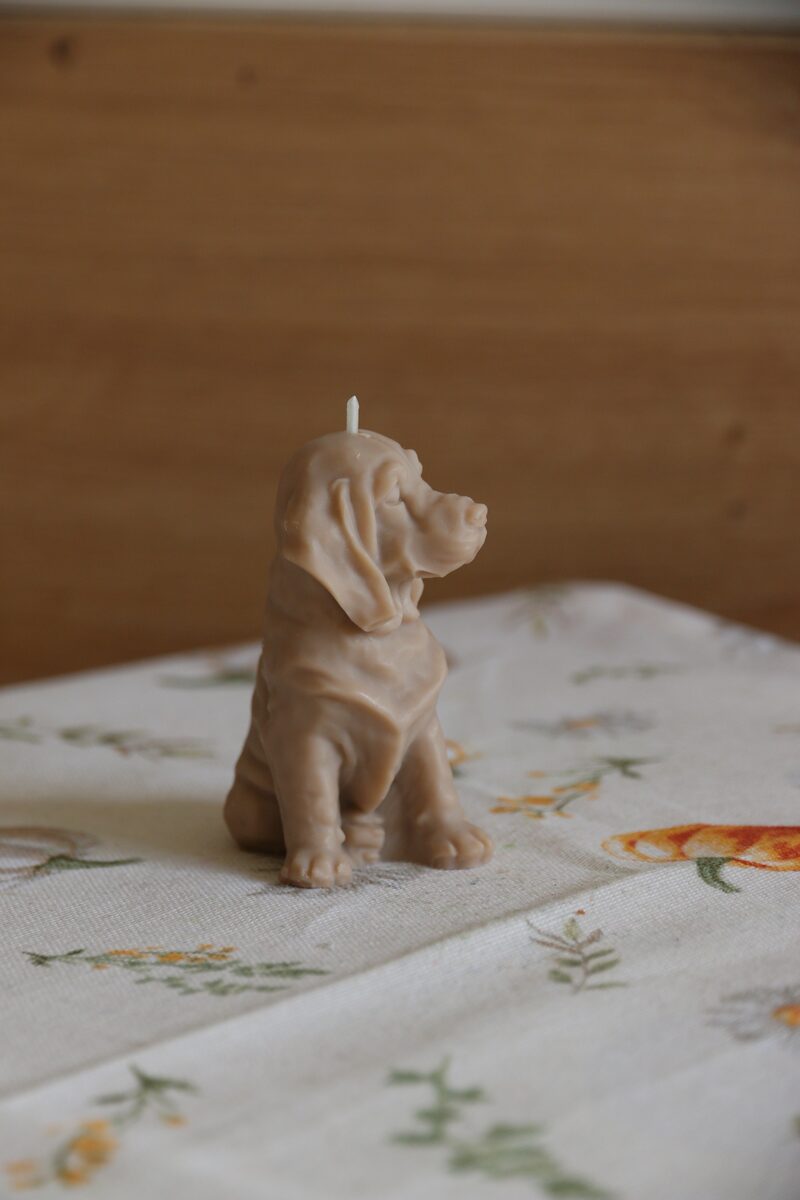 Homok barna weimari vizsla gyertya profilból, virágmintás terítőn.