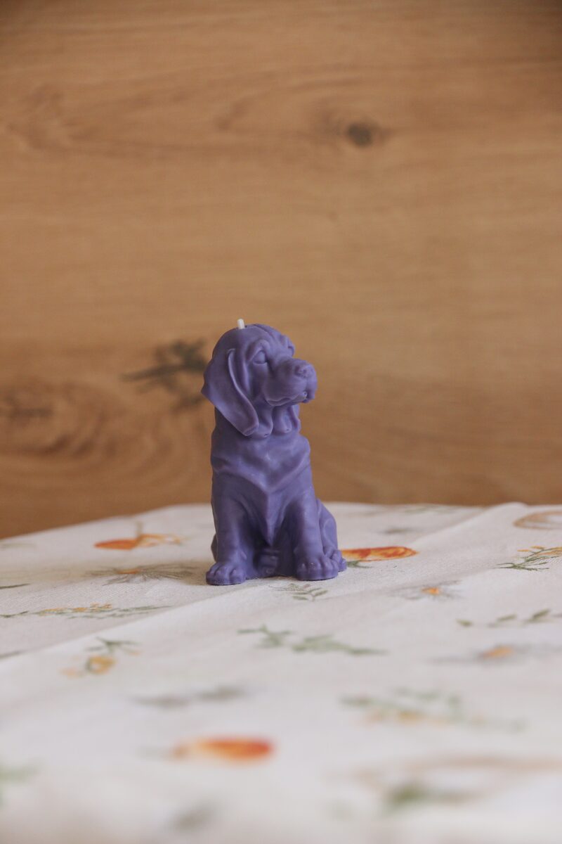 Lila weimari vizsla gyertya profilból, virágmintás terítőn.