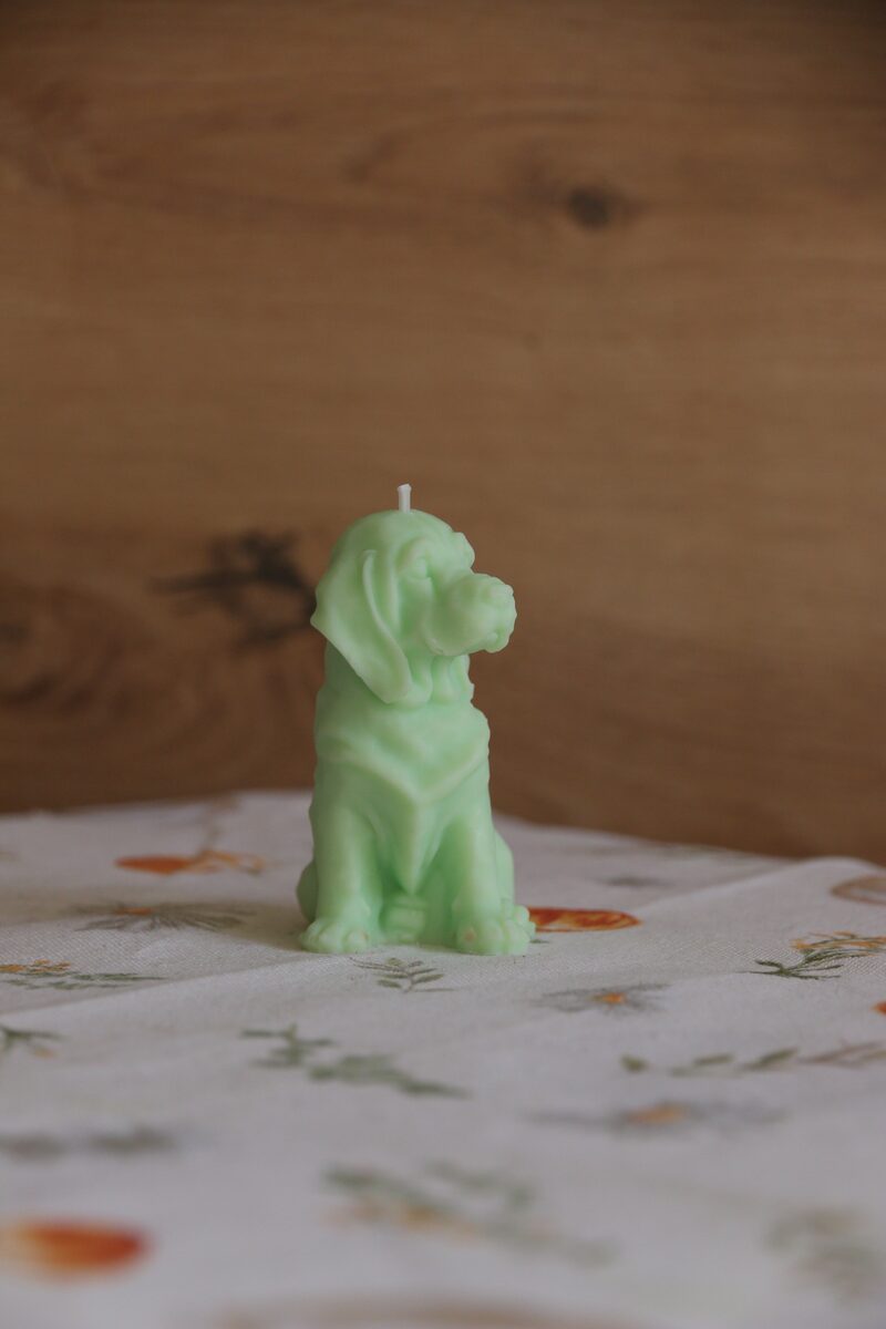 Menta színű weimari vizsla gyertya profilból, virágmintás terítőn.