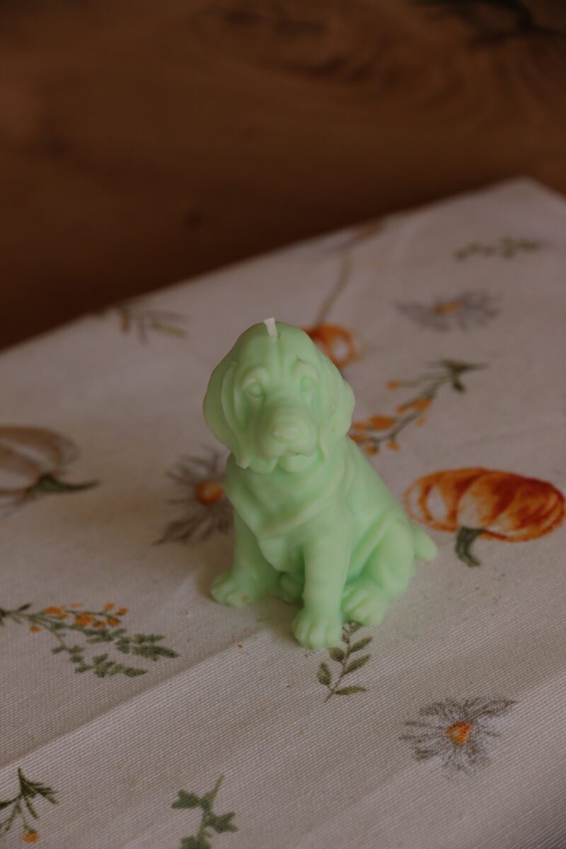 Menta színű weimari vizsla gyertya szemből, virágmintás terítőn.