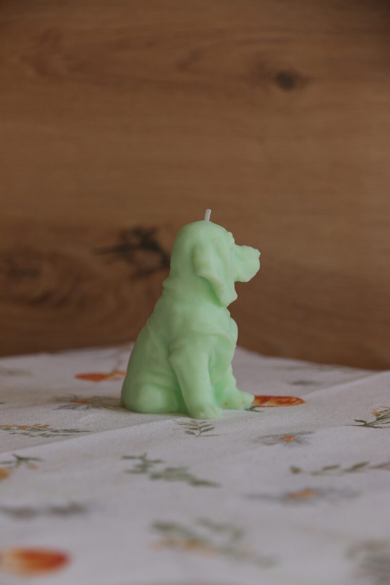 Menta színű, weimari vizsla formájú szójaviasz gyertya pamut kanóccal, ülő testtartásban.