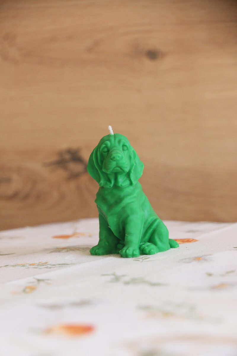Méregzöld weimari vizsla gyertya szemből, virágmintás terítőn.