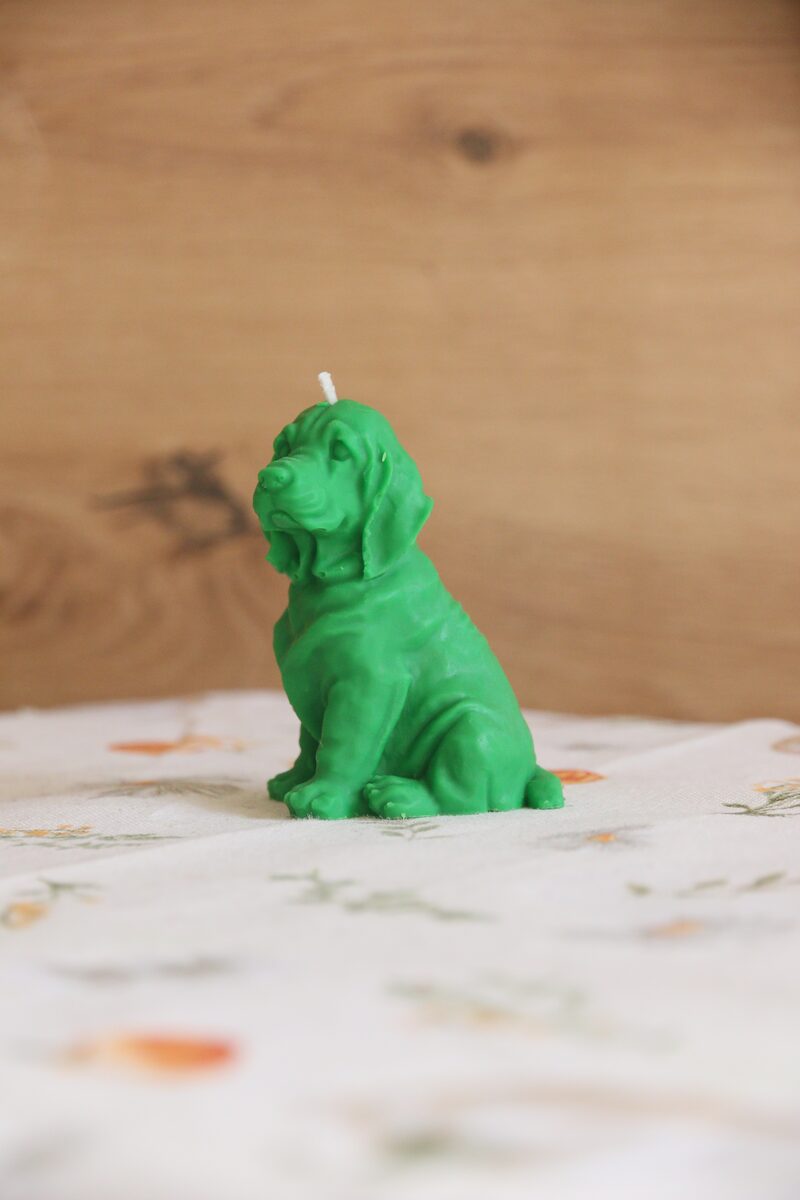 Méregzöld weimari vizsla gyertya oldalprofilból, felfelé néző fejjel.