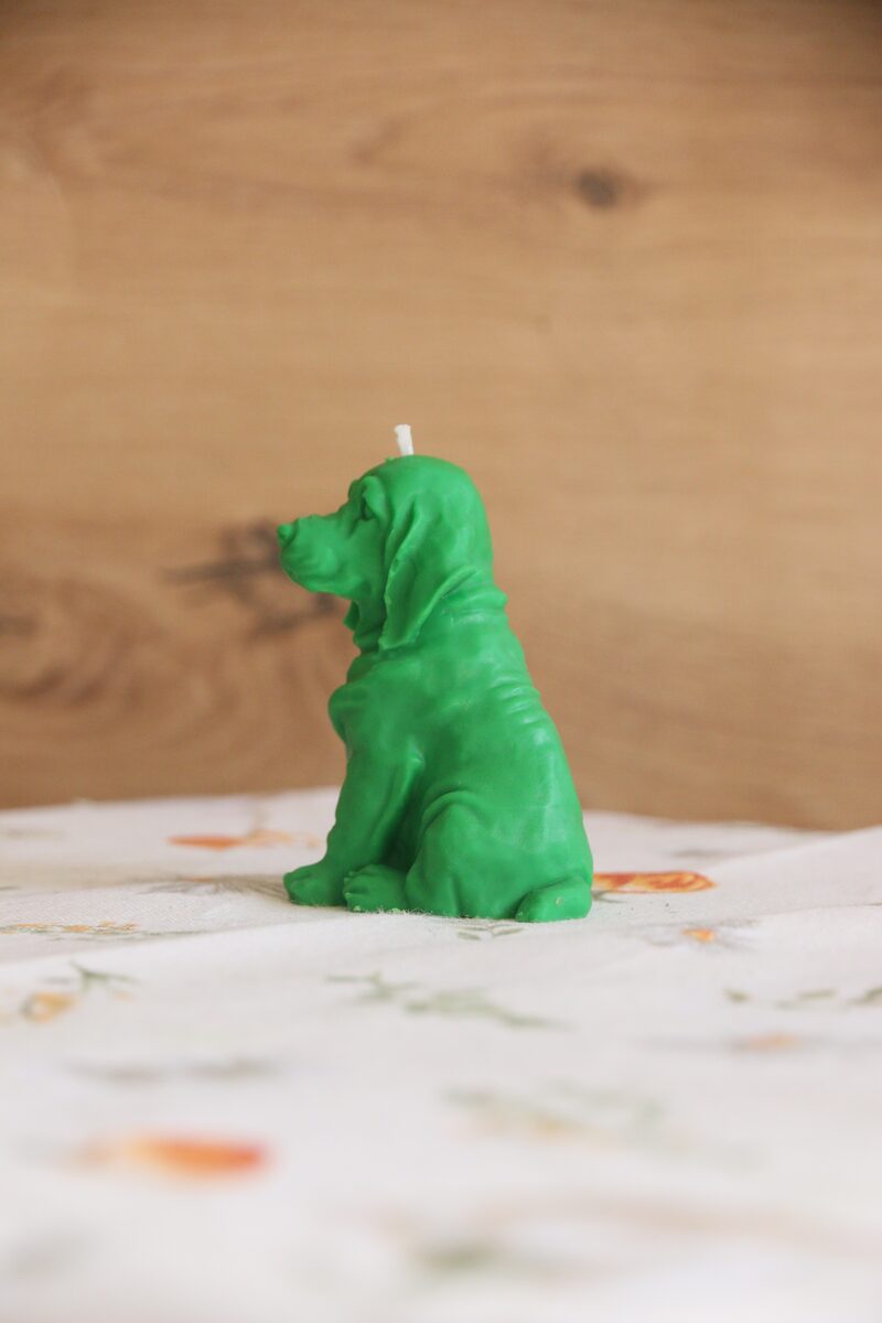 Méregzöld weimari vizsla gyertya profilból, elmosódott fa háttér előtt.