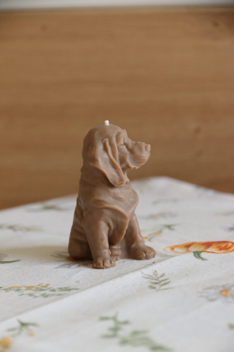 Mokka színű weimari vizsla gyertya profilból, virágmintás terítőn.