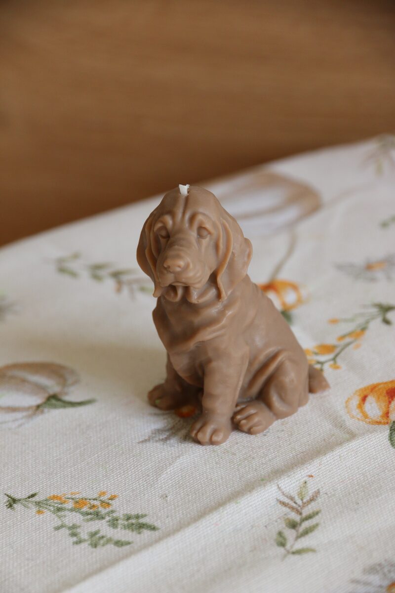 Mokka színű weimari vizsla gyertya oldalnézetből, virágmintás terítőn, tompított fényben.