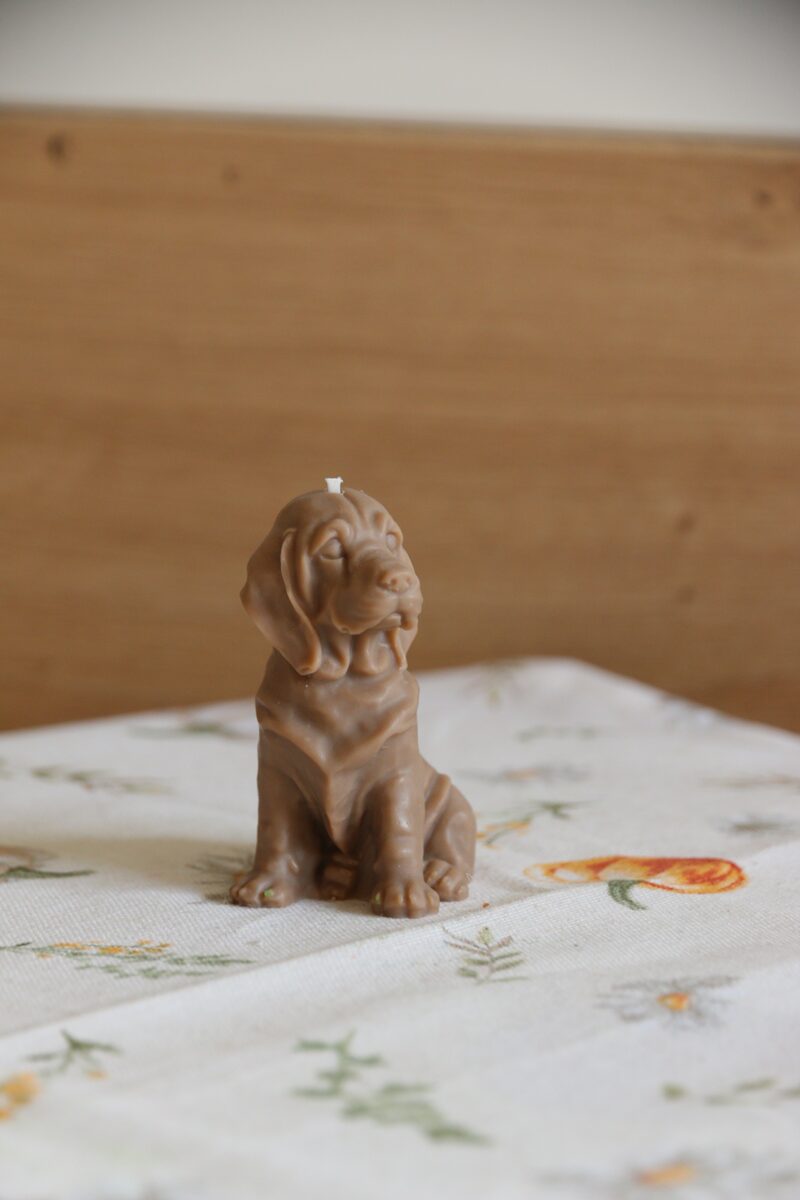 Mokka színű, weimari vizsla formájú szójaviasz gyertya pamut kanóccal, ülő testtartásban.
