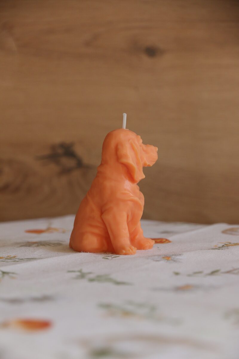 Narancs színű, weimari vizsla formájú szójaviasz gyertya pamut kanóccal, ülő testtartásban.