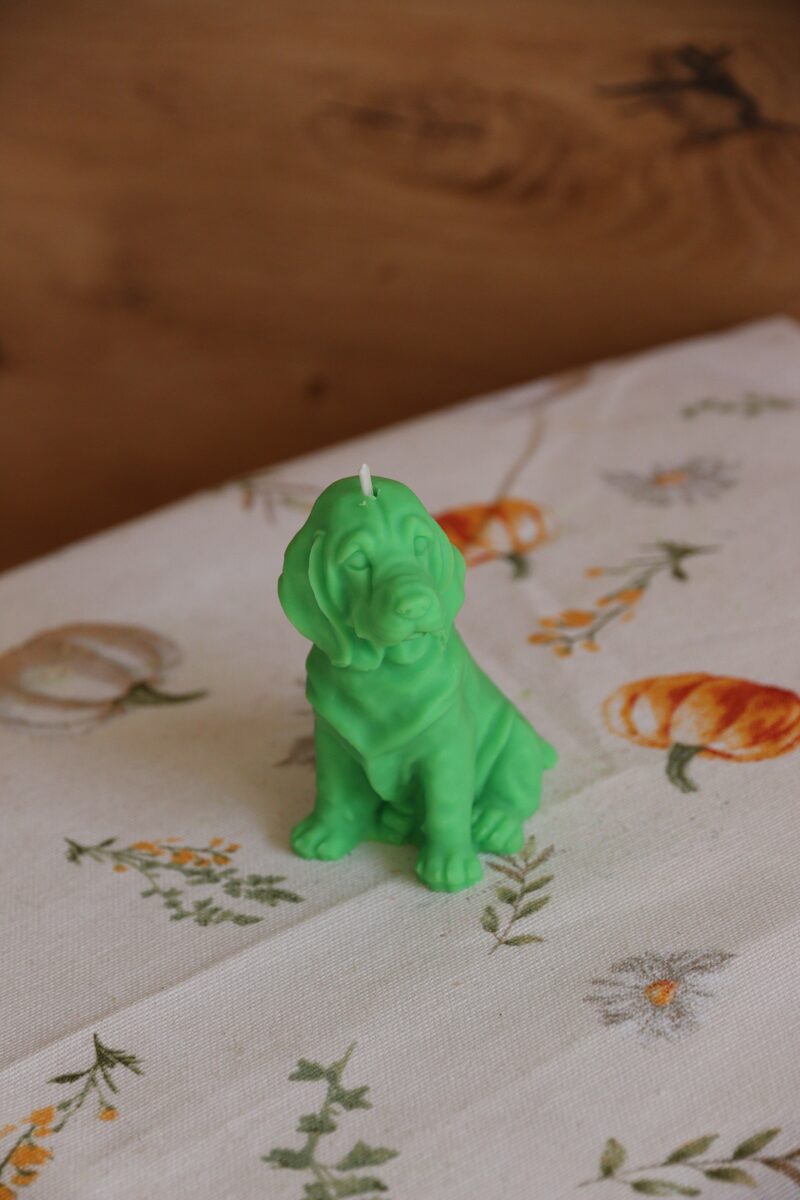 Zöld weimari vizsla gyertya háromnegyed nézetből, virágmintás terítőn.