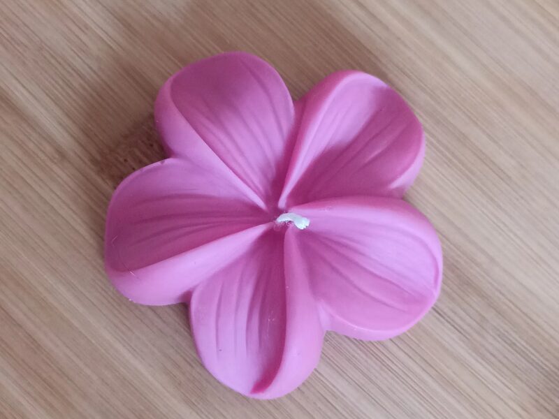 Plumeria – trópusi virág